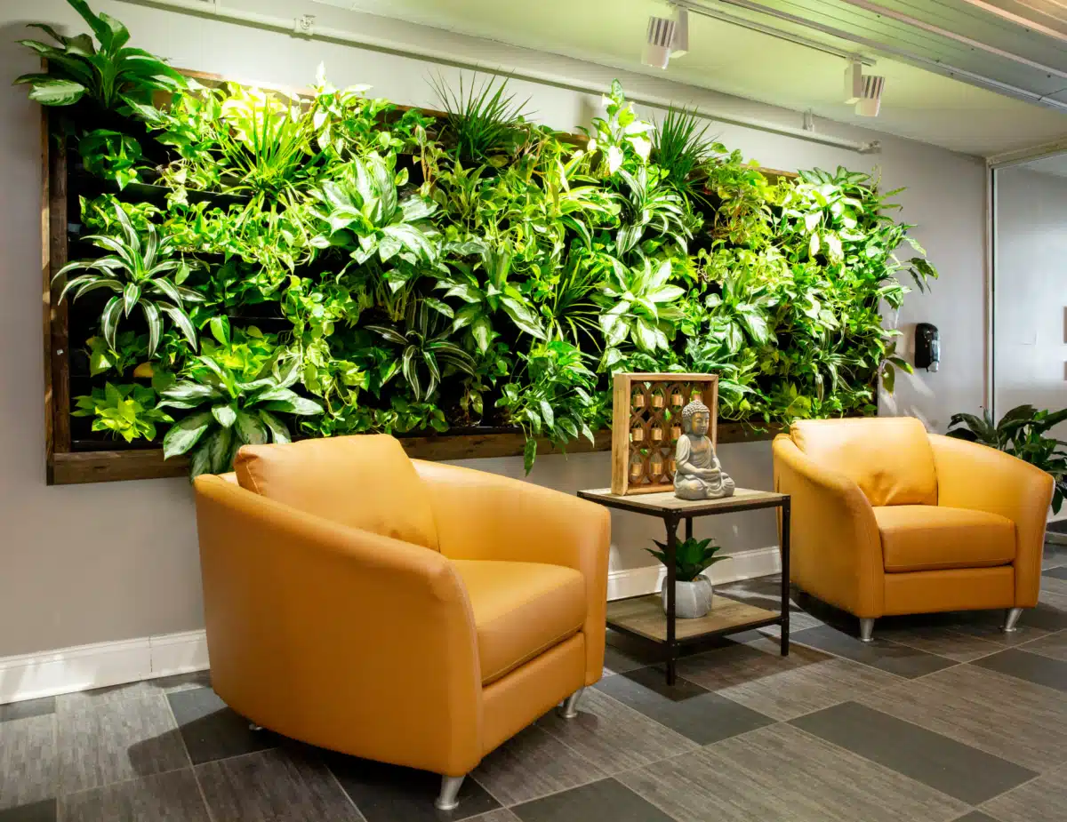 DreamLife Recovery LLC