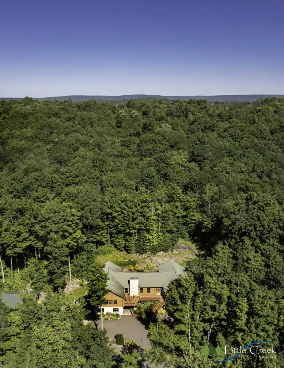 Little Creek Recovery - Preview